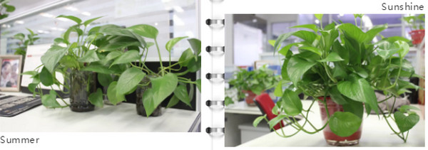 1563516318706176.jpg 配图6 云和数据高大上的办公环境.jpg